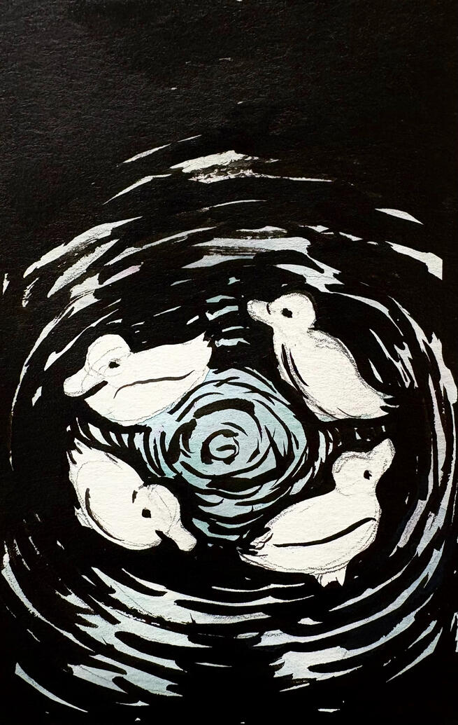 Duck Loop Duck Loop