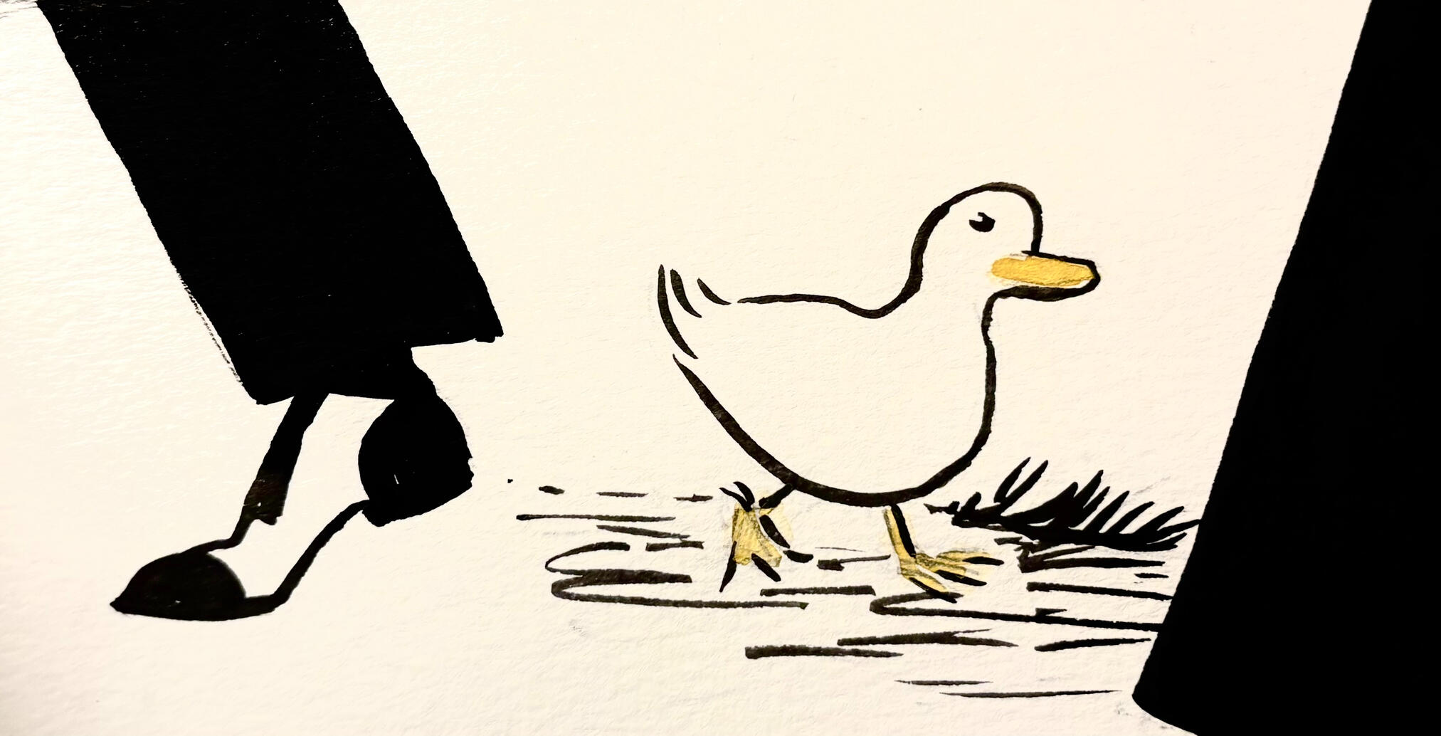 Stroll Stroll